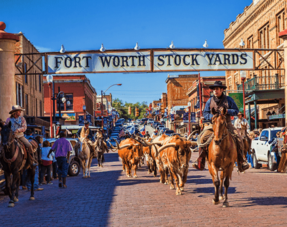 Tsescorts Fort Worth